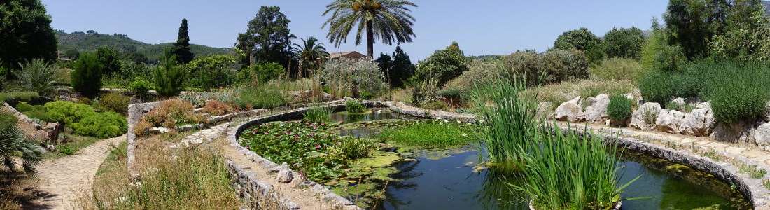 Botanischer Garten Von Soller Bildergalerie Und Informationen