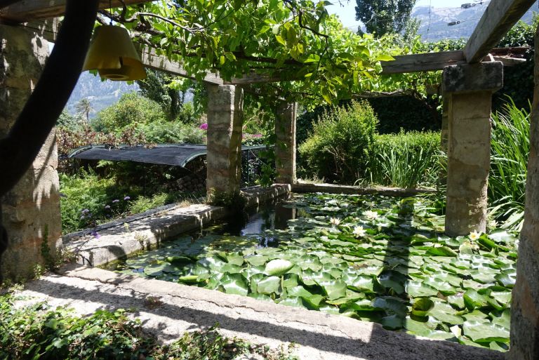 Botanischer Garten Soller Bilder und Infos