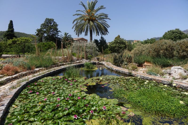 Botanischer Garten Soller Bilder und Infos