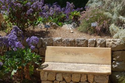 Botanischer Garten Soller - Bilder und Infos